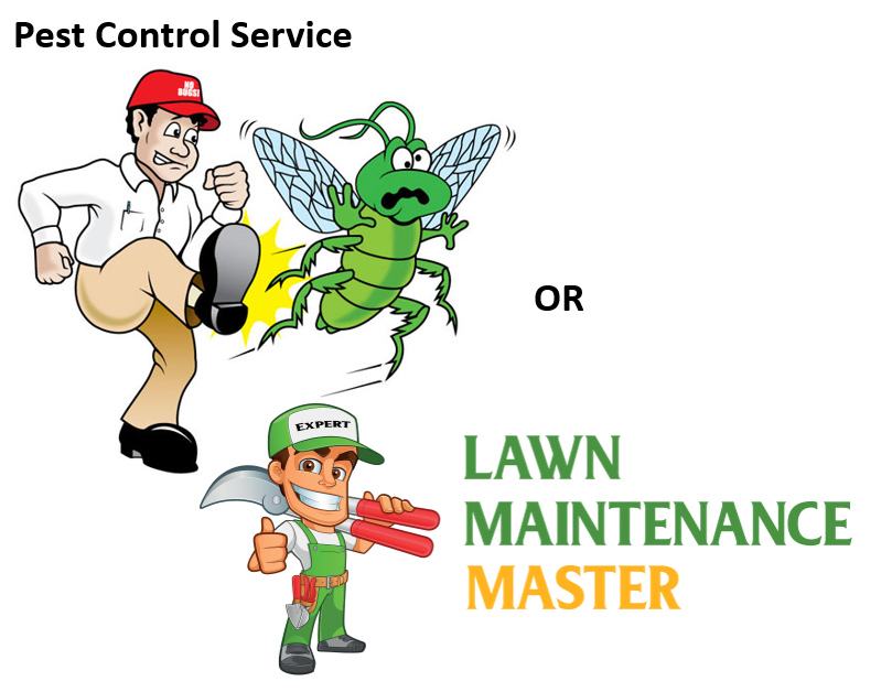 Designed for Pest Control and Lawn Care Service